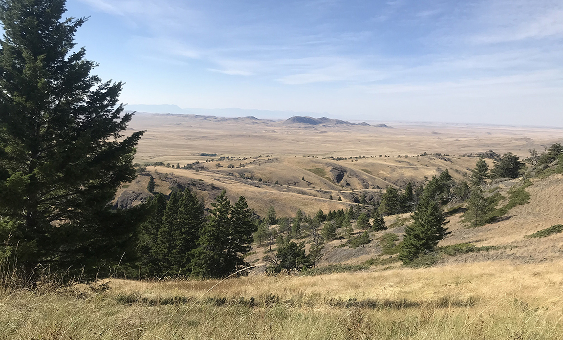 Montana mountain landscape with investment property potential